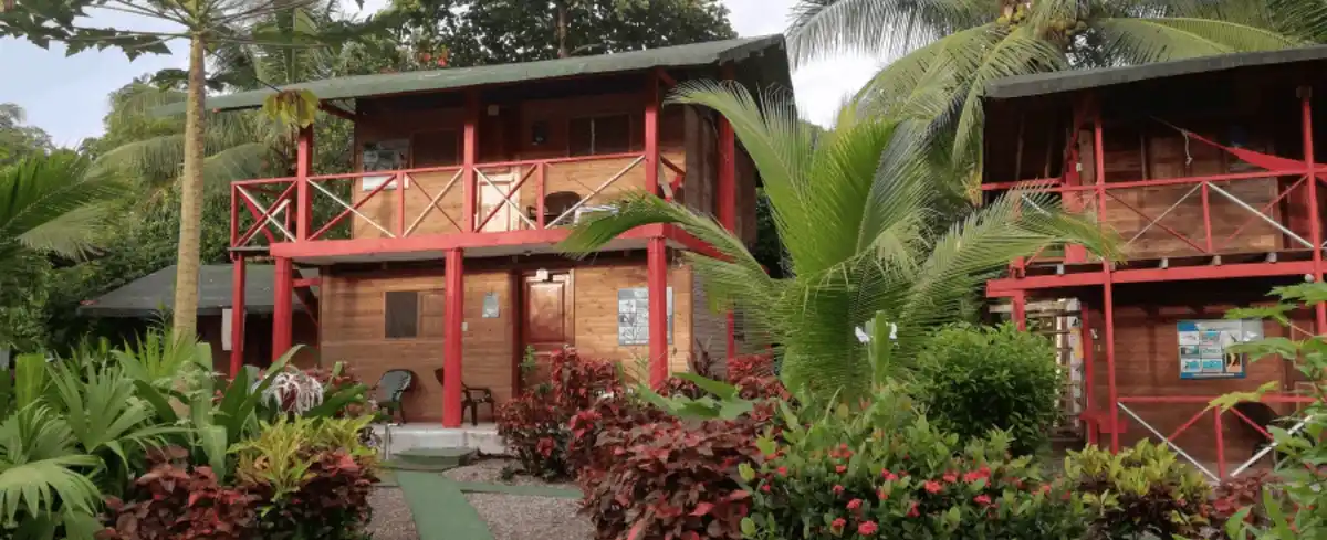 Imagen de Plan avistamiento de ballenas Ecolodge Soy Nuquí - 2026