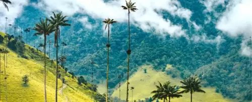 Imagen de Excursión terrestre Eje Cafetero desde Medellín  2026