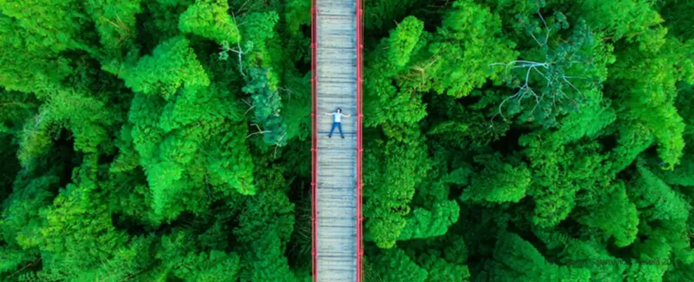 Sostenibilidad Turística