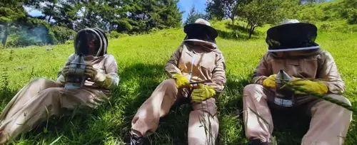 Amaranto Amor y Miel - Corregimiento Palmitas, Medellín