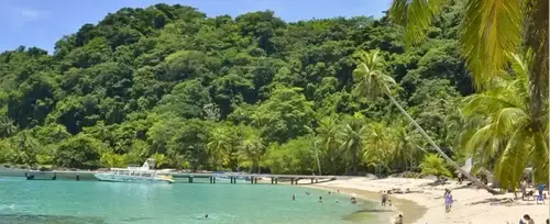 Imagen de Plan con tiquete aéreo al Hotel Mares - Capurganá 2026